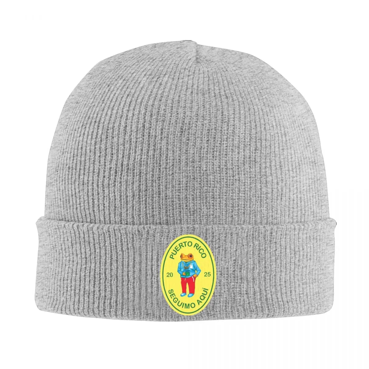 Gray Beanie – Debí Tirar Más Fotos by Bad Bunny