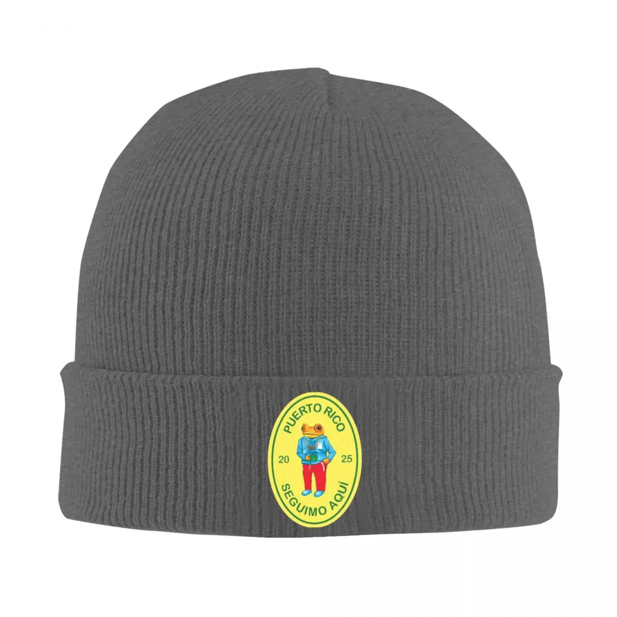 Dark Gray Beanie – Debí Tirar Más Fotos by Bad Bunny