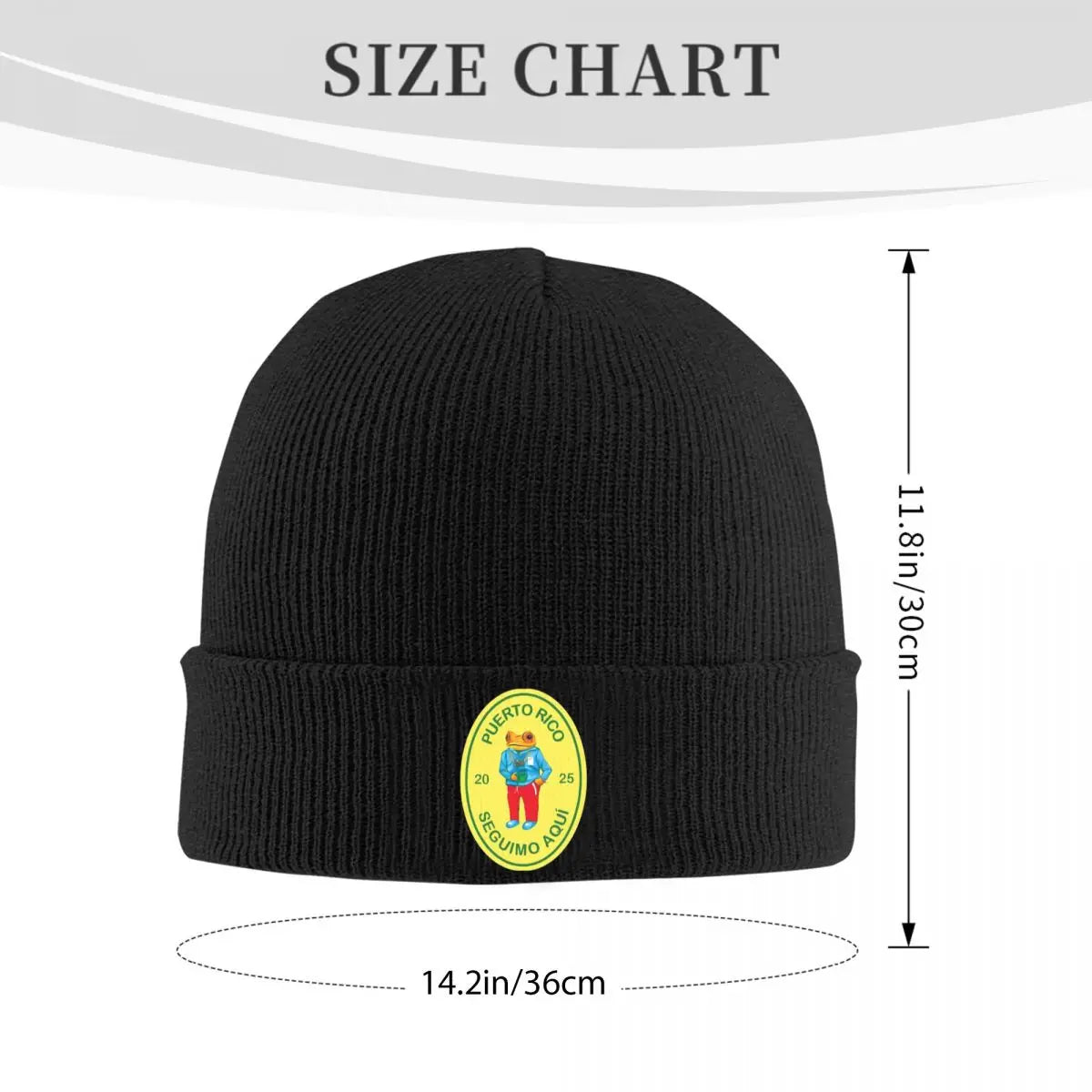 Black Beanie – Debí Tirar Más Fotos by Bad Bunny
