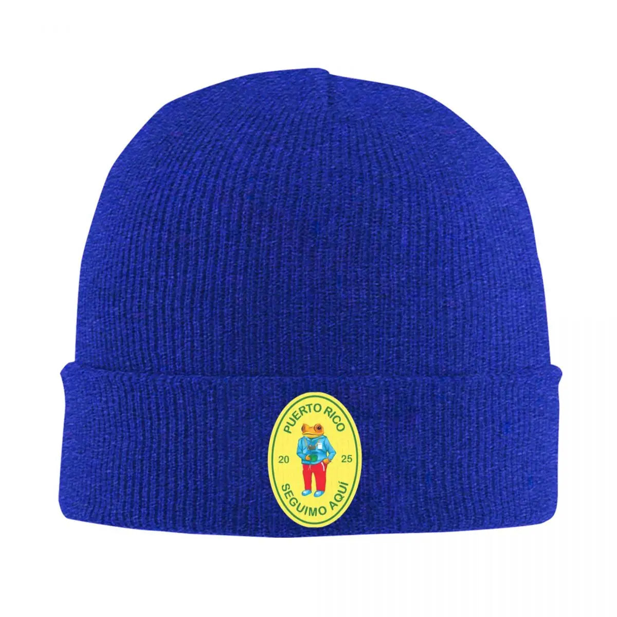 Blue Beanie – Debí Tirar Más Fotos by Bad Bunny